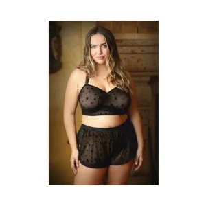 Curve Nova Star Print Halter Top And Matching Shortie 3x/4x Black