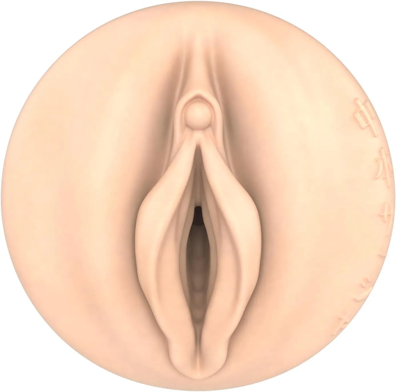 Fleshlight Fantasy Sasha Nakamoto Ecchi Male Masturbator
