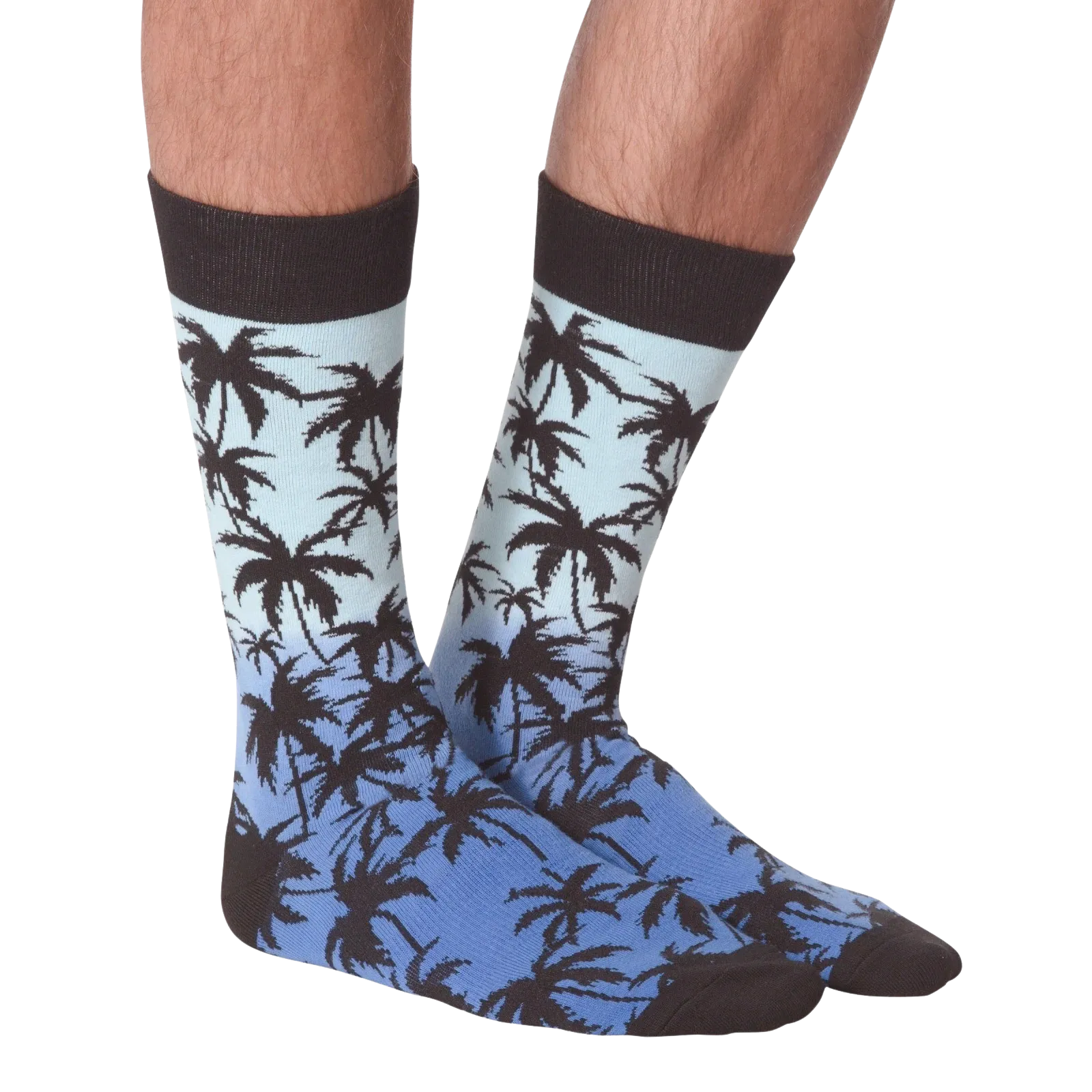 Palm