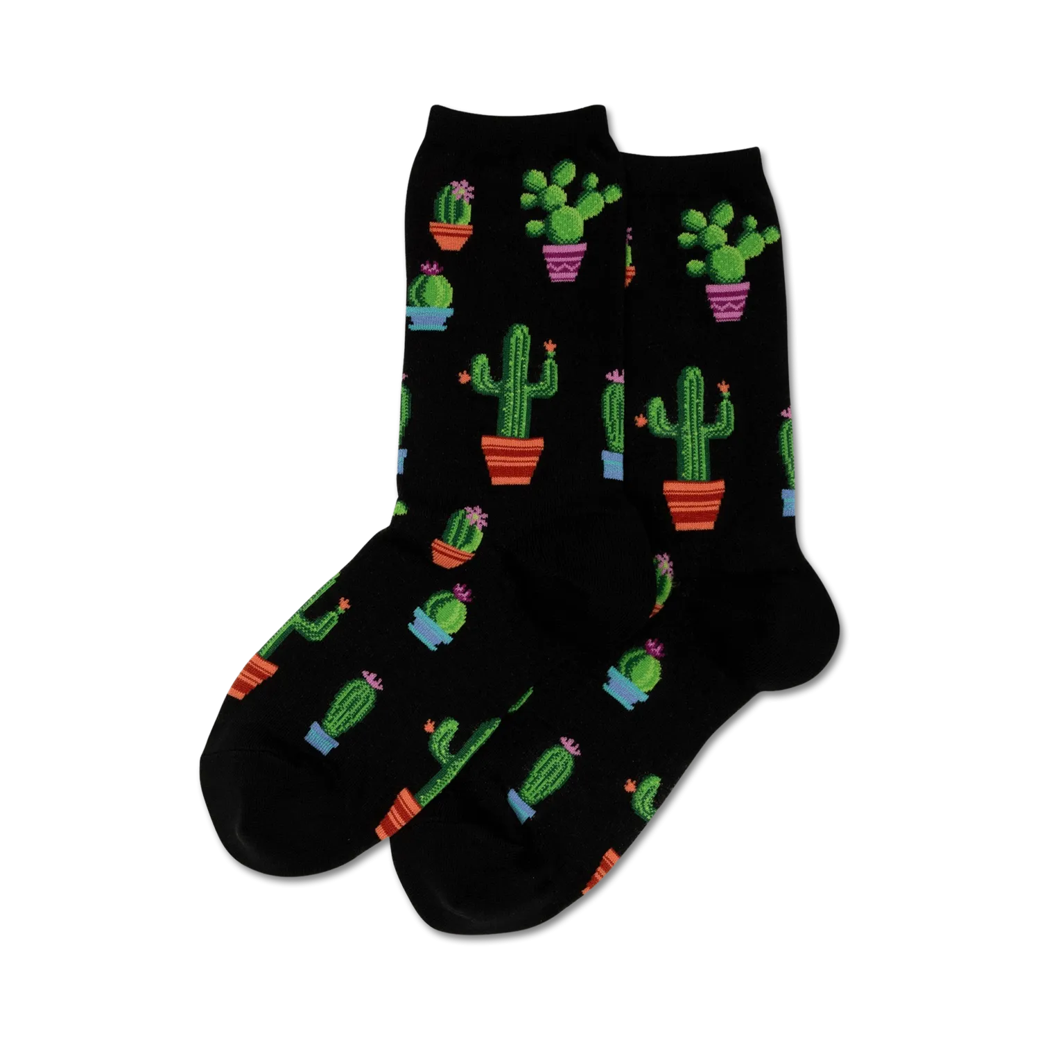 Potted Cactus