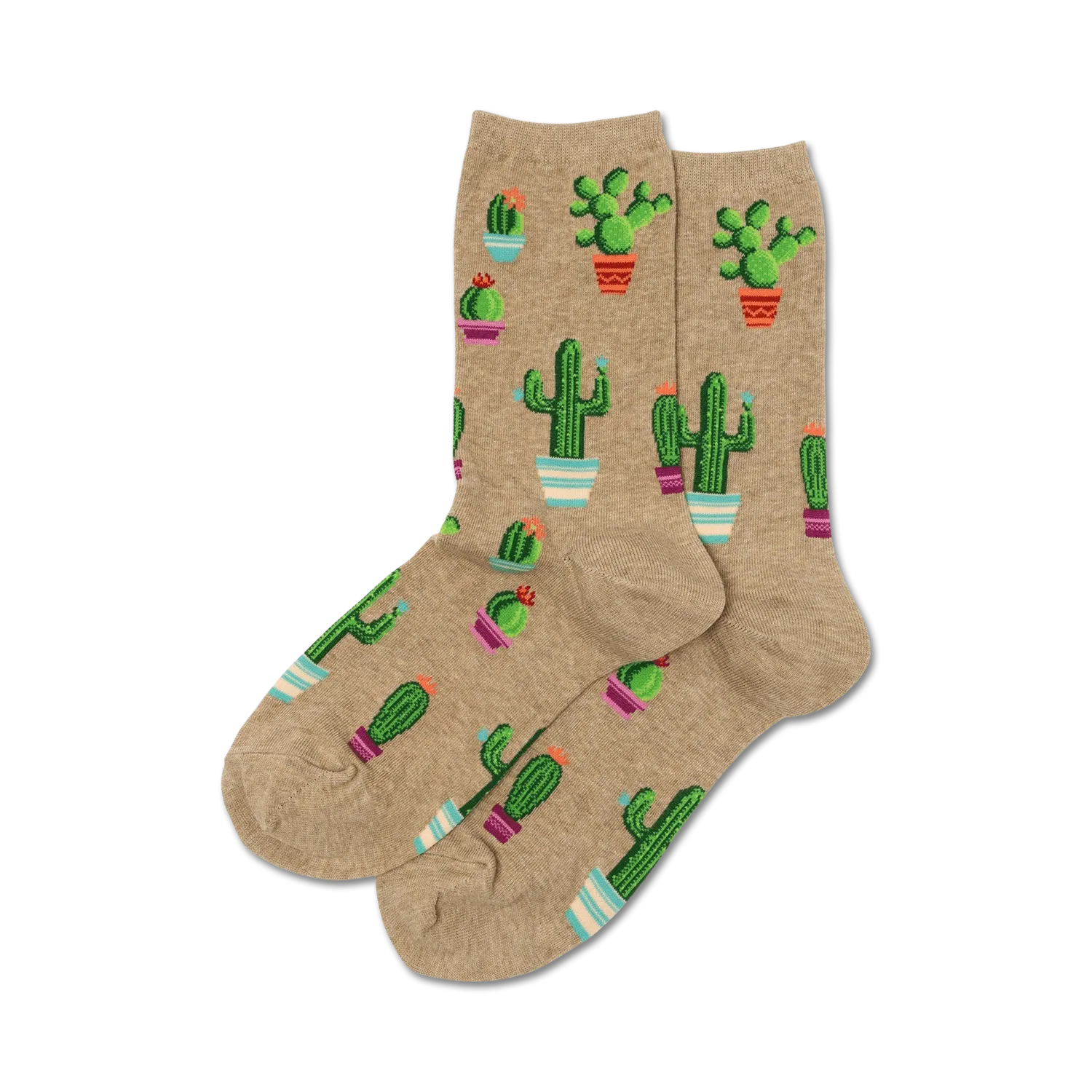 Potted Cactus